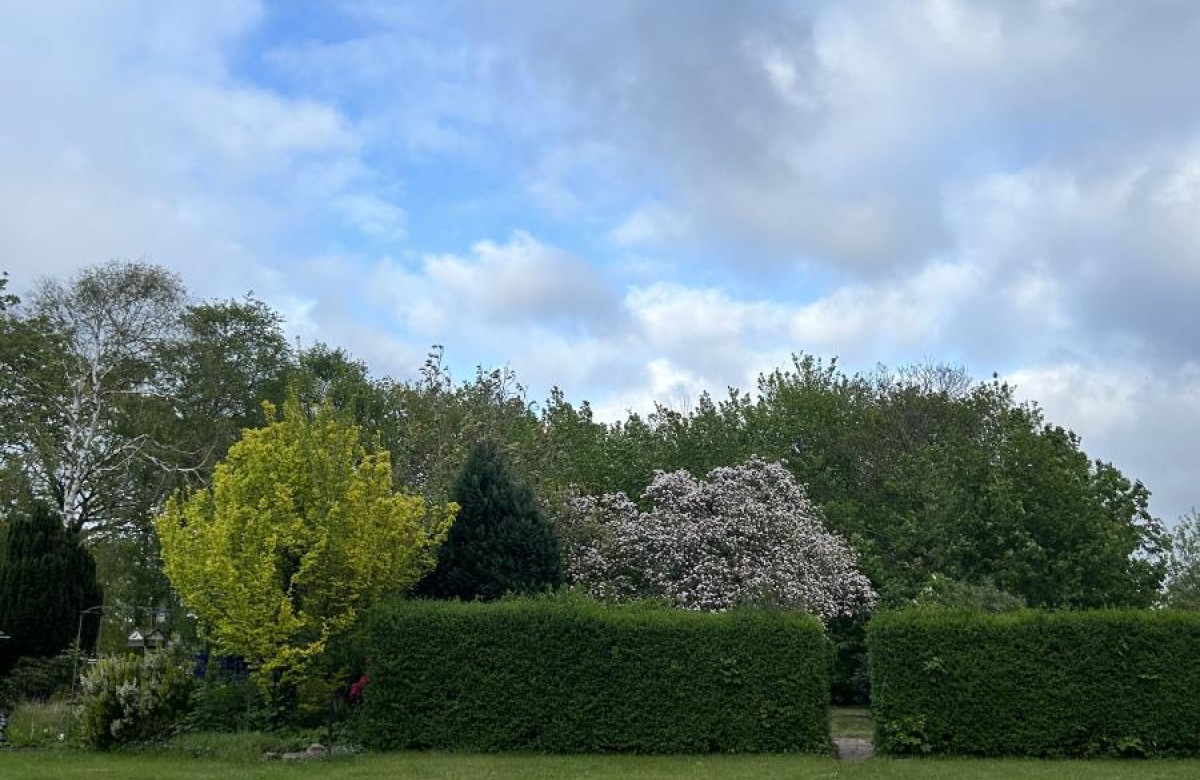 Rugenbargsweg 29 Whg 2